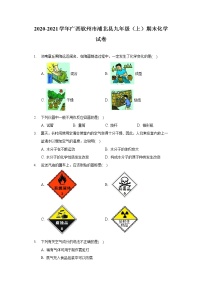 2020-2021学年广西钦州市浦北县九年级（上）期末化学试卷