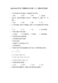 2020-2021学年广西柳州市九年级（上）期末化学试卷