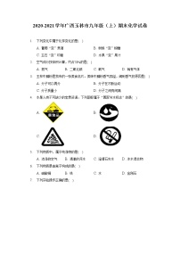 2020-2021学年广西玉林市九年级（上）期末化学试卷