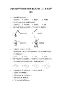 2020-2021学年湖南省常德市澧县九年级（上）期末化学试卷