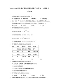 2020-2021学年重庆实验外国语学校九年级（上）期末化学试卷