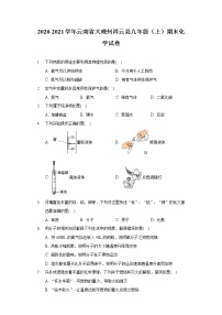 2020-2021学年云南省大理州祥云县九年级（上）期末化学试卷