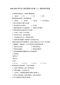 2020-2021学年辽宁省辽阳市九年级（上）期末化学试卷