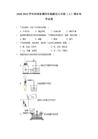 2020-2021学年河南省漯河市临颍县九年级（上）期末化学试卷