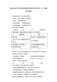 2020-2021学年河北省秦皇岛市青龙县九年级（上）期末化学试卷