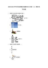 2020-2021学年河北省廊坊市霸州市九年级（上）期末化学试卷