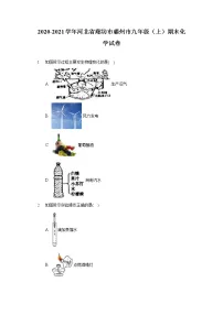 2020-2021学年河北省廊坊市霸州市九年级(上)期末化学试卷