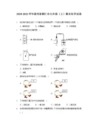 2020-2021学年贵州省铜仁市九年级(上)期末化学试卷
