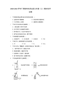 2020-2021学年广西钦州市灵山县九年级（上）期末化学试卷