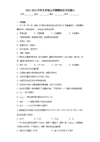 2021-2022学年九年级上学期期末化学试题（word版 含答案）