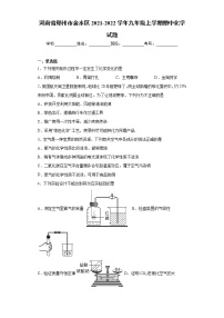 河南省郑州市金水区2021-2022学年九年级上学期期中化学试题（word版 含答案）