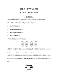 化学九年级上册第四单元 自然界的水课题4 化学式与化合价第1课时达标测试