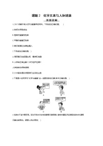 初中化学课题2 化学元素与人体健康巩固练习