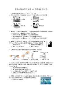 阜阳实验中学九年级12月月考化学试卷