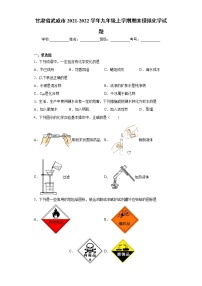 甘肃省武威市2021-2022学年九年级上学期期末模拟化学试题（word版 含答案）