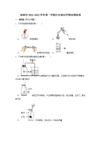 广东省深圳市2021-2022学年上班学期九年级化学期末模拟卷（word版 含答案）