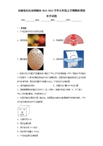 安徽省安庆市桐城市2021-2022学年九年级上学期期末模拟化学试题（word版 含答案）