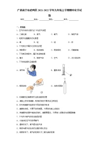 广西南宁市武鸣区2021-2022学年九年级上学期期中化学试题（word版 含答案）