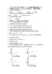 河南省周口市2020-2021学年九年级上学期化学期末模拟题(三)（Word版有答案）