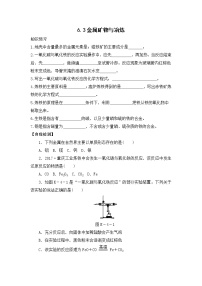 2021学年6.3 金属矿物与冶炼优秀当堂达标检测题