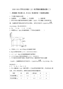 河南省濮阳市南乐县2021-2022学年九年级上学期化学期末模拟题(二)（word版 含答案）