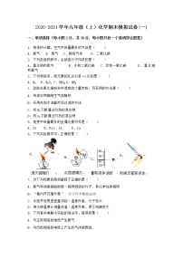 河南省濮阳市南乐县2021-2022学年九年级上学期化学期末模拟题(一)（word版 含答案）