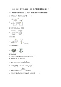 河南省濮阳市清丰县2021-2022学年九年级上学期化学期末模拟题(一)（word版 含答案）