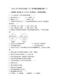 河南省许昌市禹州市2021-2022学年九年级上学期化学期末模拟题(一)（word版 含答案）