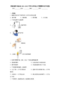 河南省驻马店市2021-2022学年九年级上学期期中化学试题（word版 含答案）