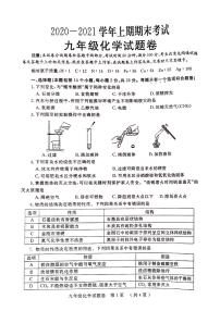 2020-2021上学期郑州一模化学试卷（含答案）