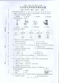 2021年海南省海口市九年级化学科联考模拟试题（图片版无答案）