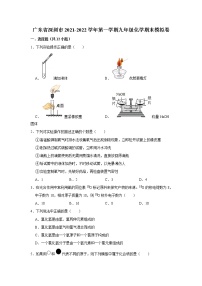 广东省深圳市2021-2022学年九年级上学期期末模拟卷化学试卷（word版 含答案）