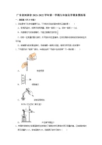 广东省深圳市2021-2022学年九年级上学期化学期末模拟卷九（word版 含答案）