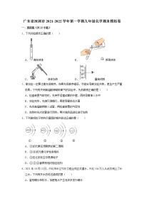 广东省深圳市2021-2022学年上学期九年级化学期末模拟卷七（word版 含答案）