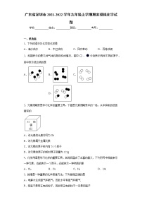 广东省深圳市2021-2022学年九年级上学期期末模拟化学试题（word版 含答案）