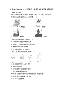 广东省深圳市2021-2022学年上学期九年级化学期末模拟卷 （word版 含答案）