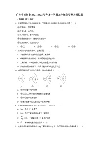 广东省深圳市2021-2022学年上学期九年级化学期末模拟卷（word版 含答案）