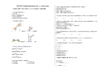 2020-2021学年湖南省岳阳市某校九年级（上）期末化学试卷人教版