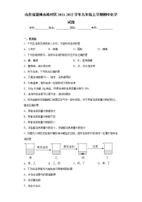 山东省淄博市周村区2021-2022学年九年级上学期期中化学试题（word版 含答案）