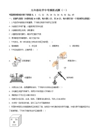 精品解析：2020年山东省菏泽市巨野县中考一模化学试题（解析版+原卷版）