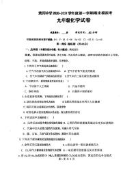 广东省广州市黄冈中学2020_2021学年第一学期期末模拟考九年级化学试卷（pdf版无答案）