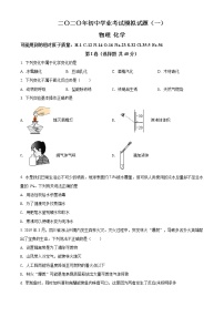 精品解析：2020年山东省枣庄市中考一模化学试题（解析版+原卷版）