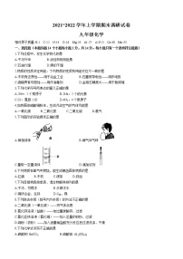 河南省平顶山市舞钢市2021-2022学年九年级上学期期末化学试题（word版 含答案）