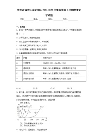 黑龙江省大庆市龙凤区2021-2022学年九年级上学期期末化学试题（word版 含答案）