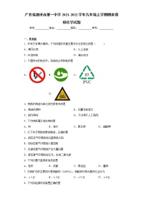 广东省惠州市第一中学2021-2022学年九年级上学期期末模拟化学试题（word版 含答案）