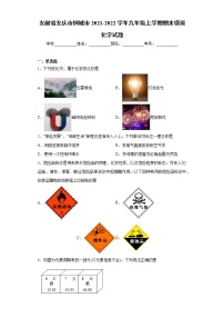 安徽省安庆市桐城市2021-2022学年九年级上学期期末模拟化学试题（word版 含答案）