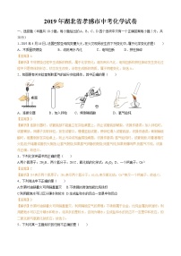 2019年湖北省孝感市中考化学试题（Word版，含解析）