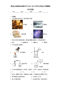 黑龙江省虎林市实验中学2021-2022学年九年级上学期期末化学试题（word版 含答案）