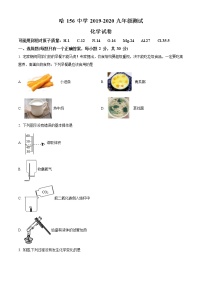 精品解析：2020年黑龙江省哈尔滨市南岗区哈尔滨156中中考二模化学试题（解析版+原卷版）