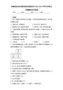 安徽省安庆市宿松县新安初级中学2021-2022学年九年级上学期期末化学试题（word版 含答案）